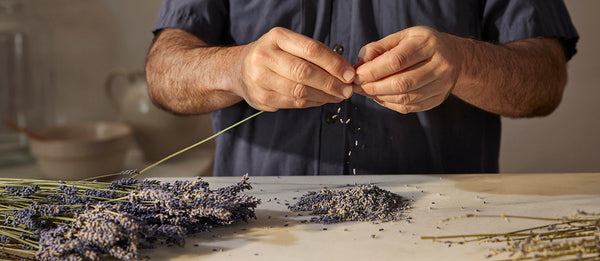 Recchiuti and the Farmer's Market